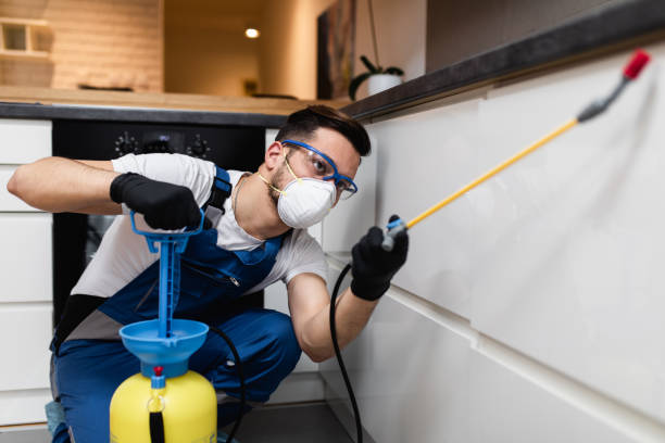 Best Exterminator Services  in Lynwood, IL