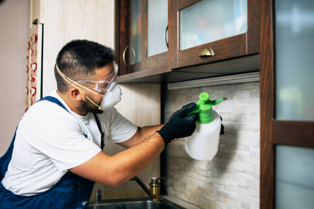 Best Best Pest Control Companies  in Lynwood, IL