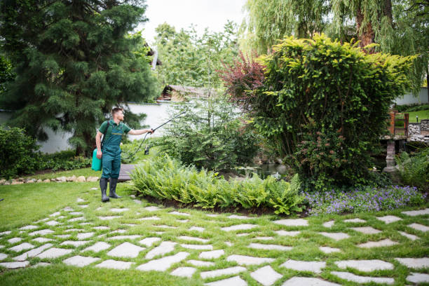 Best Affordable Pest Control Services  in Lynwood, IL