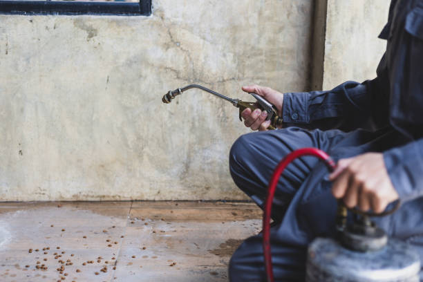 Best Pest Control Near Me in Lynwood, IL