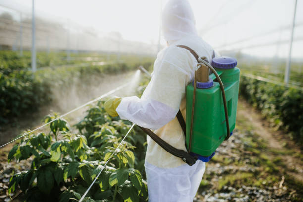 Flea Control Services in Lynwood, IL